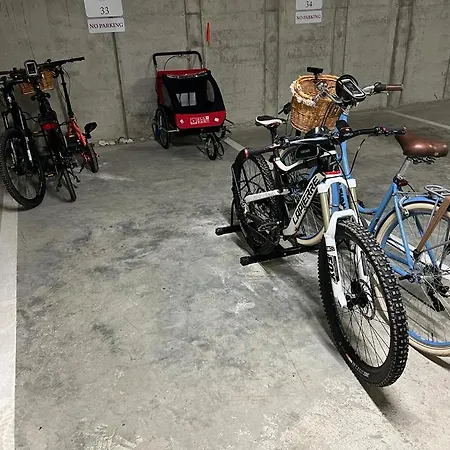 Blue Peony Apartment Druskininkai